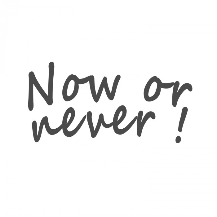 Наклейка на одежду 16х35см. Термотрансфер "Now or never!"